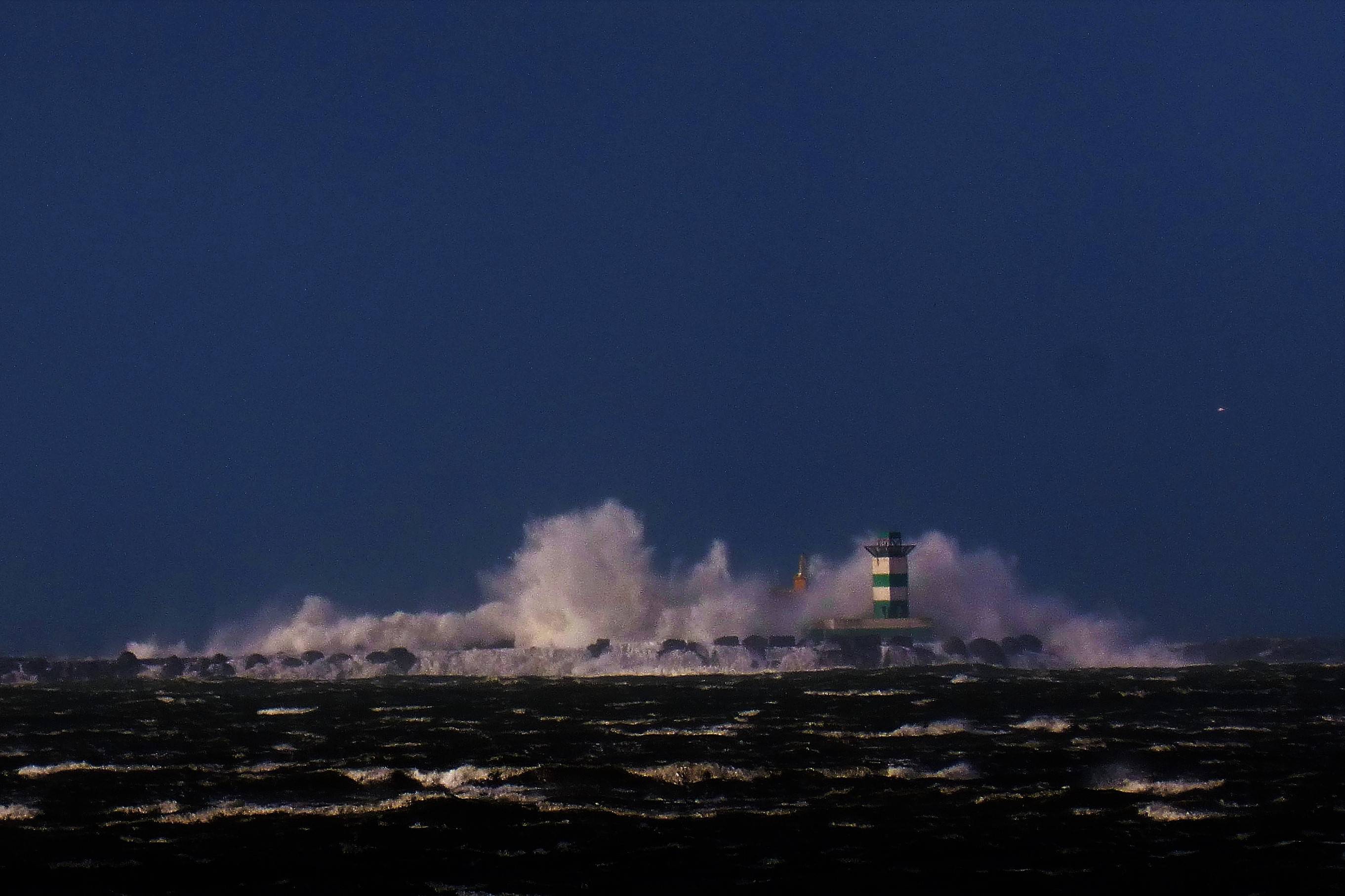 Pieren IJmuiden   10-02-20 